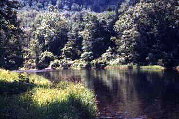 RIVER DOWN FROM THE CABINS