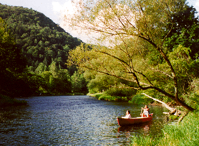 CANOE IN FRONT OF CABINS